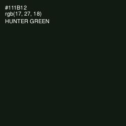 #111B12 - Hunter Green Color Image